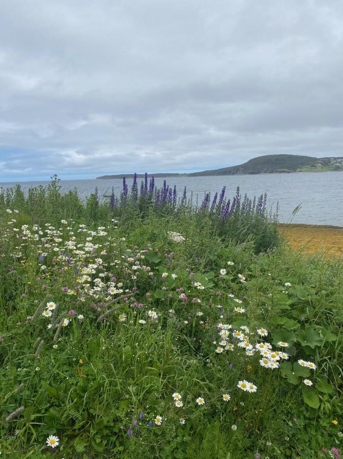 Rocky Harbour Oceanfront Villa Exterior photo